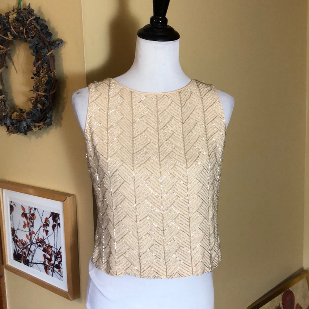 Vintage EPISODE Size 6 100% silk 
Heavy Beaded Chevron Silver Beaded Champagne